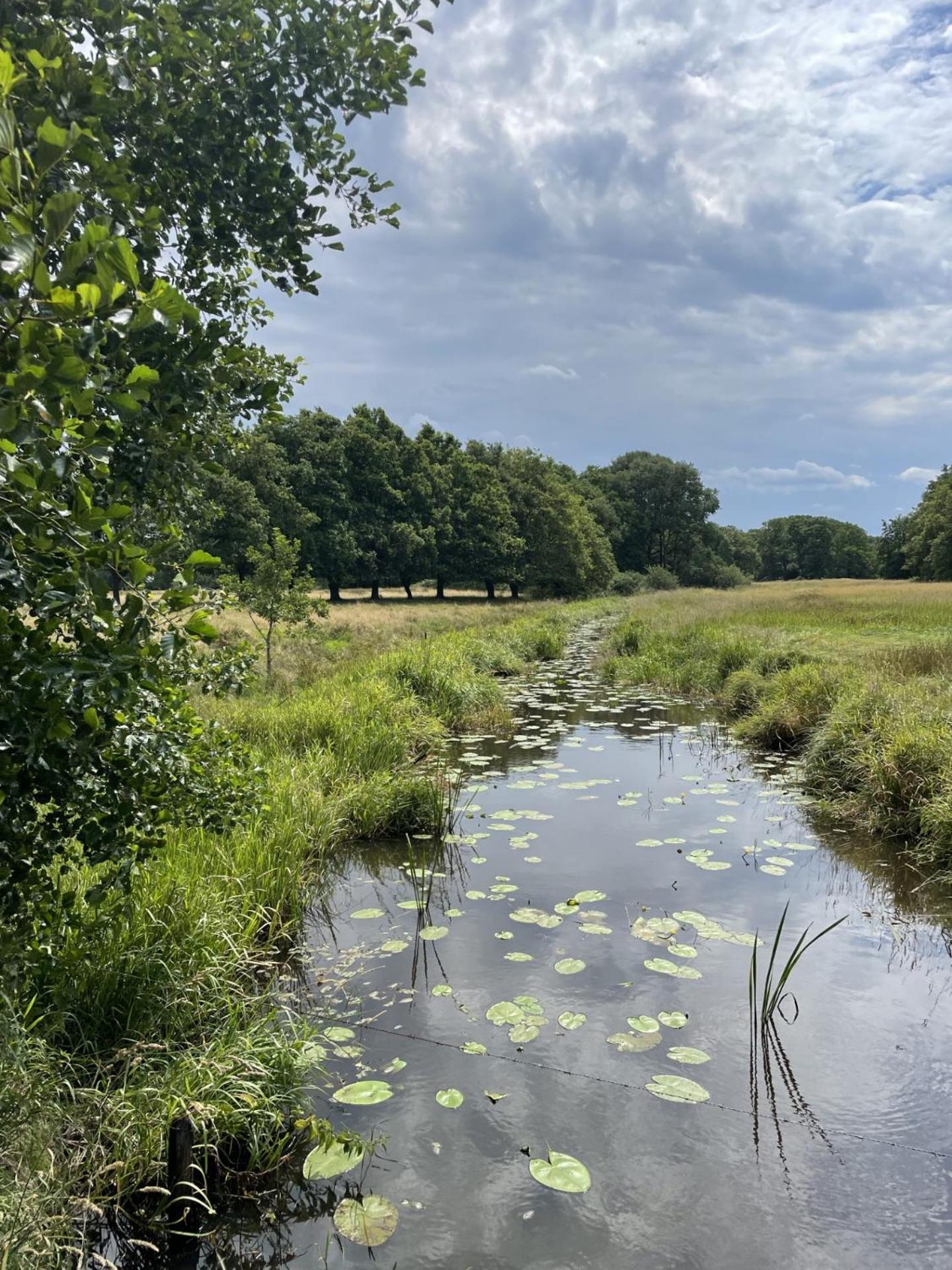 Twisterhof, Appartement Anna, Sustrum Eksteriør bilde